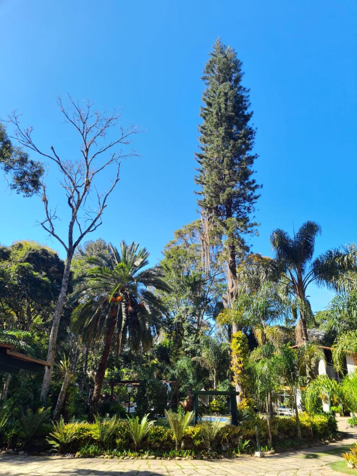 Petrópolis Pousada Villa Jambo מראה חיצוני תמונה